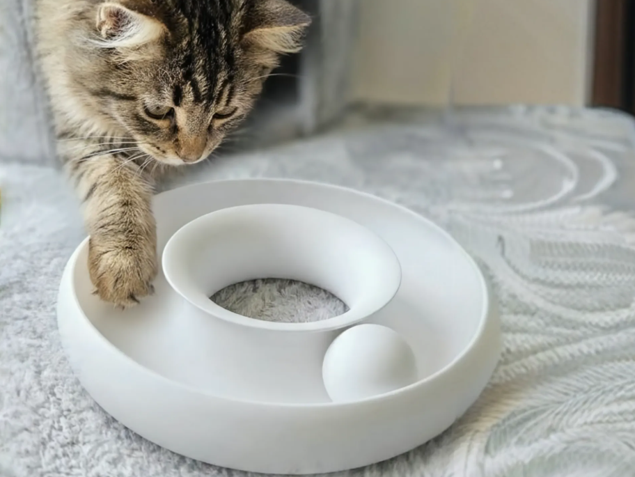 Brinquedo para gatos